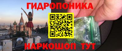 apvp Славгород