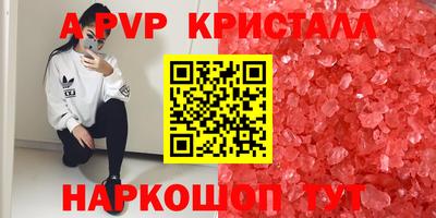 apvp Славгород
