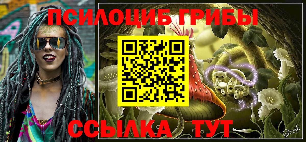 Галлюциногенные грибы Magic Shrooms  Вход с VPN  Омск  купить наркоту  Псилоцибиновые грибы MAGIC MUSHROOMS 